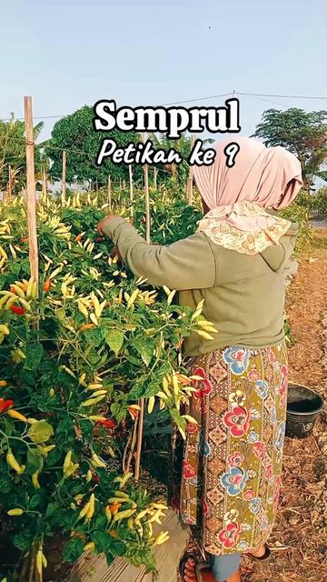 @KANG BERUN GEMOY