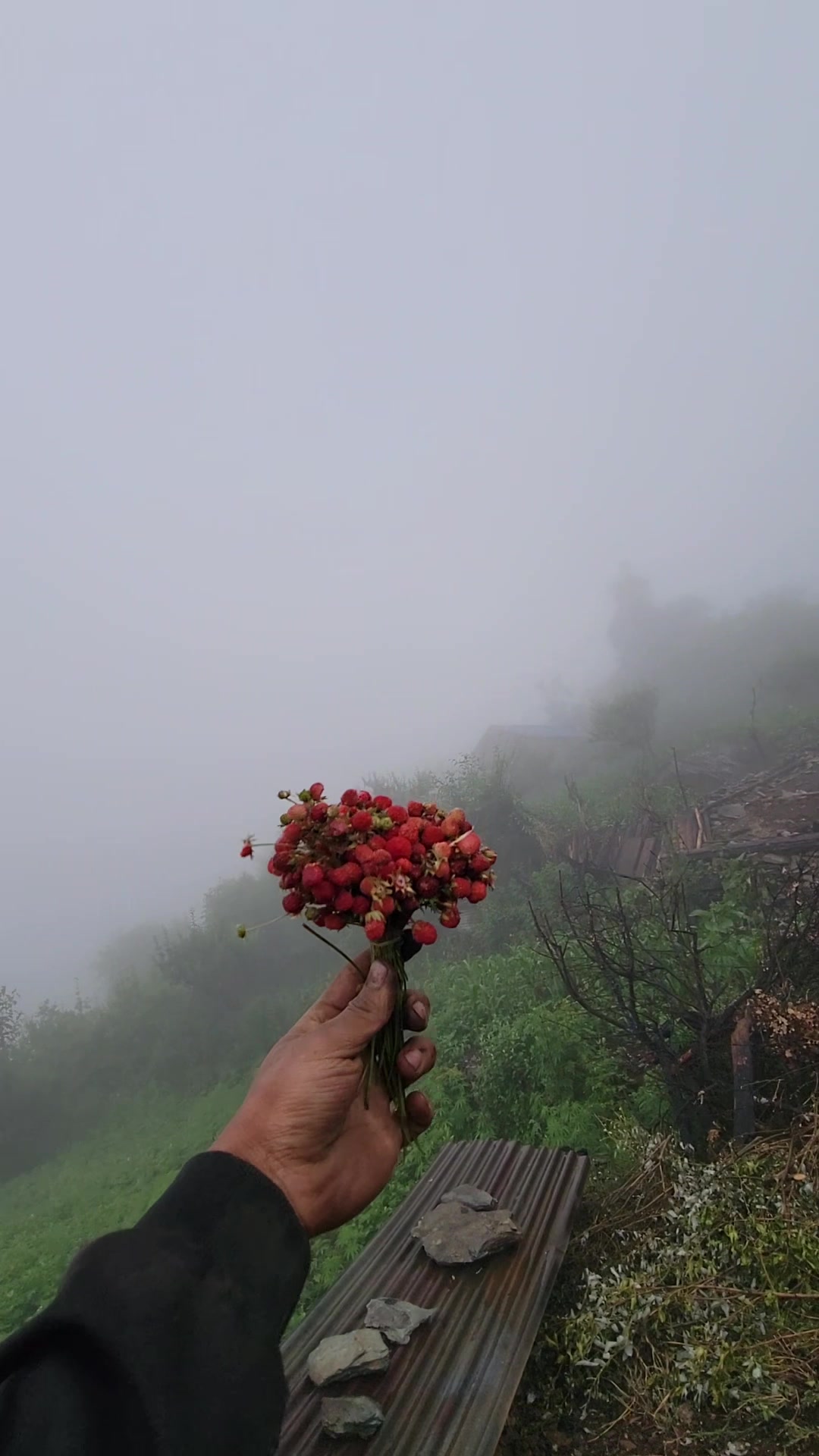 @Radha🕉️