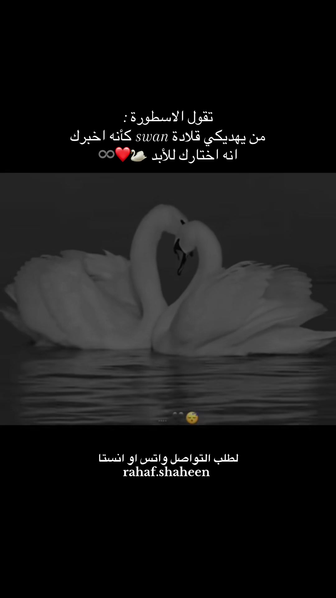 @rahaf.shaheen