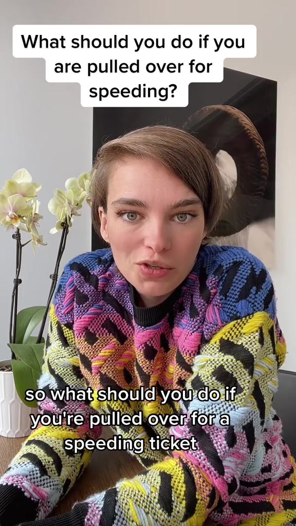 @Kyla Lee