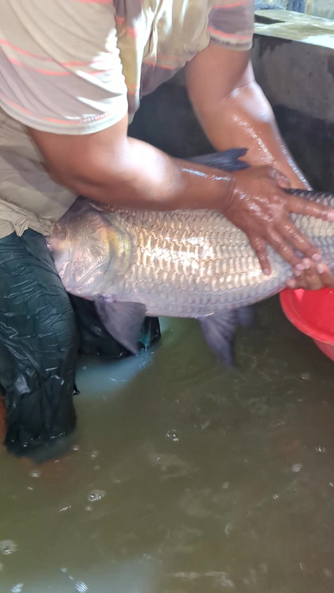 @Fish Lovers Bangladesh