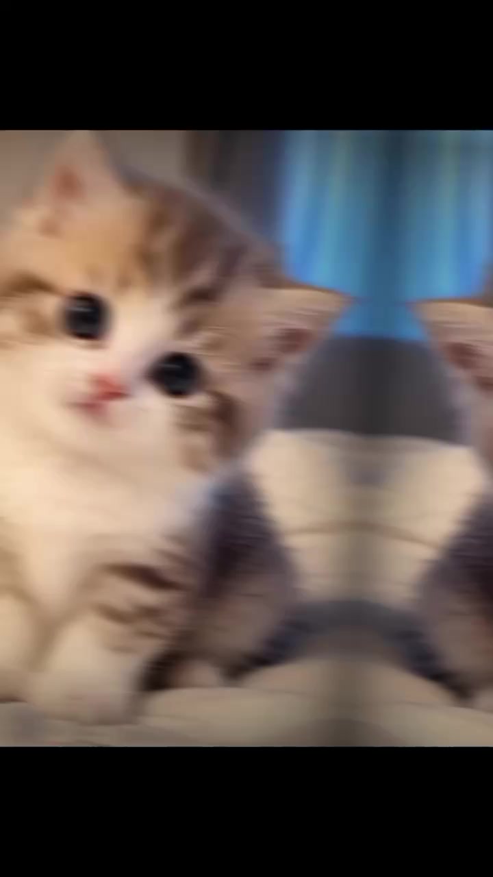 @ᯓ𝐄𝐫𝐚 𝐌𝐢𝐮ᥫ᭡
