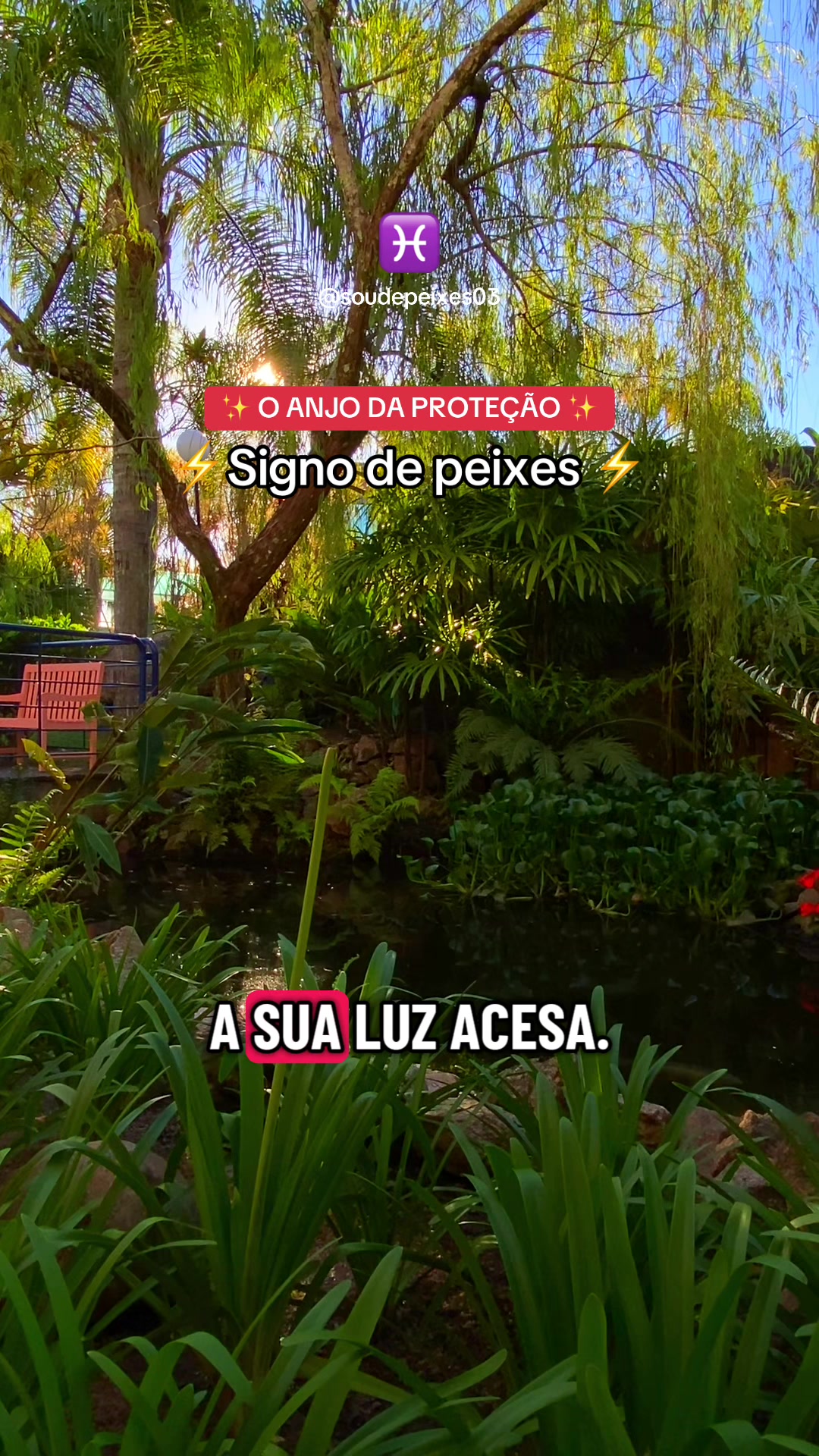 @soudepeixes