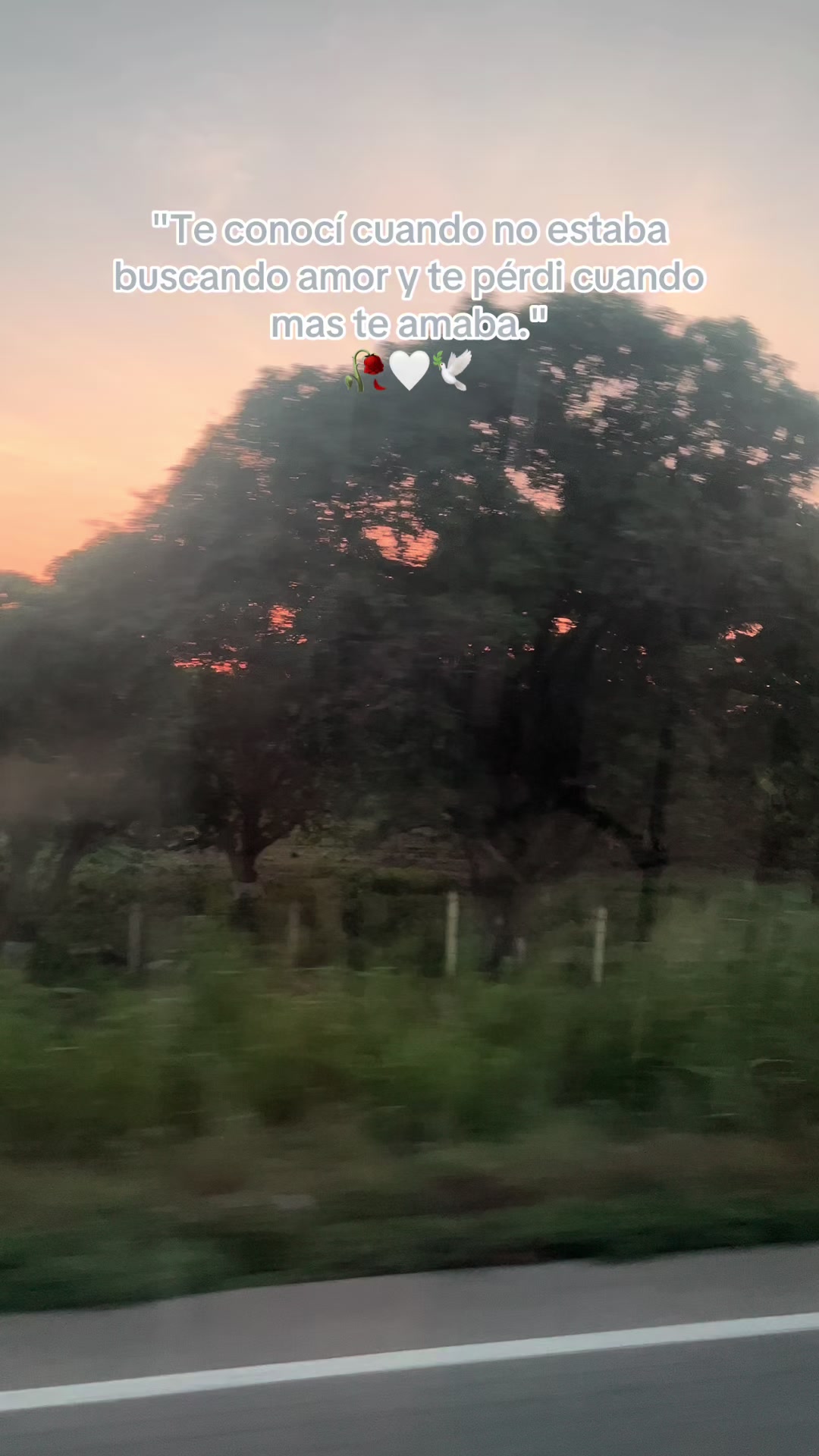 @Isa💔