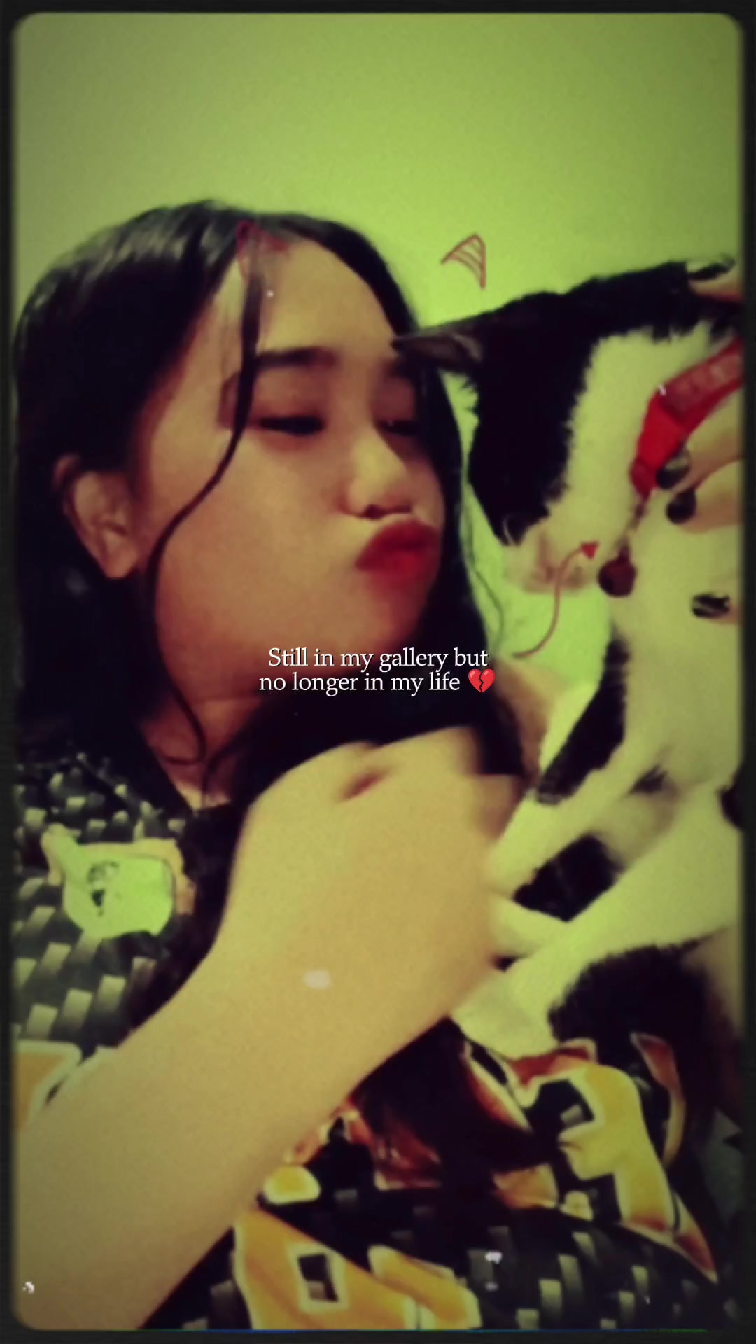 @pam ♡