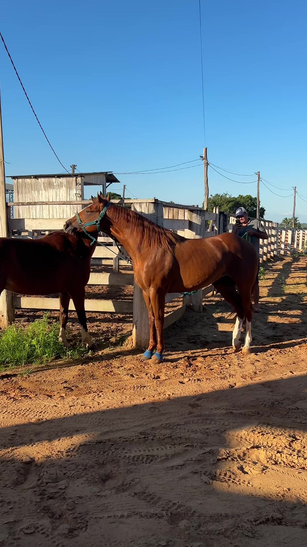 @Espanta Ranch