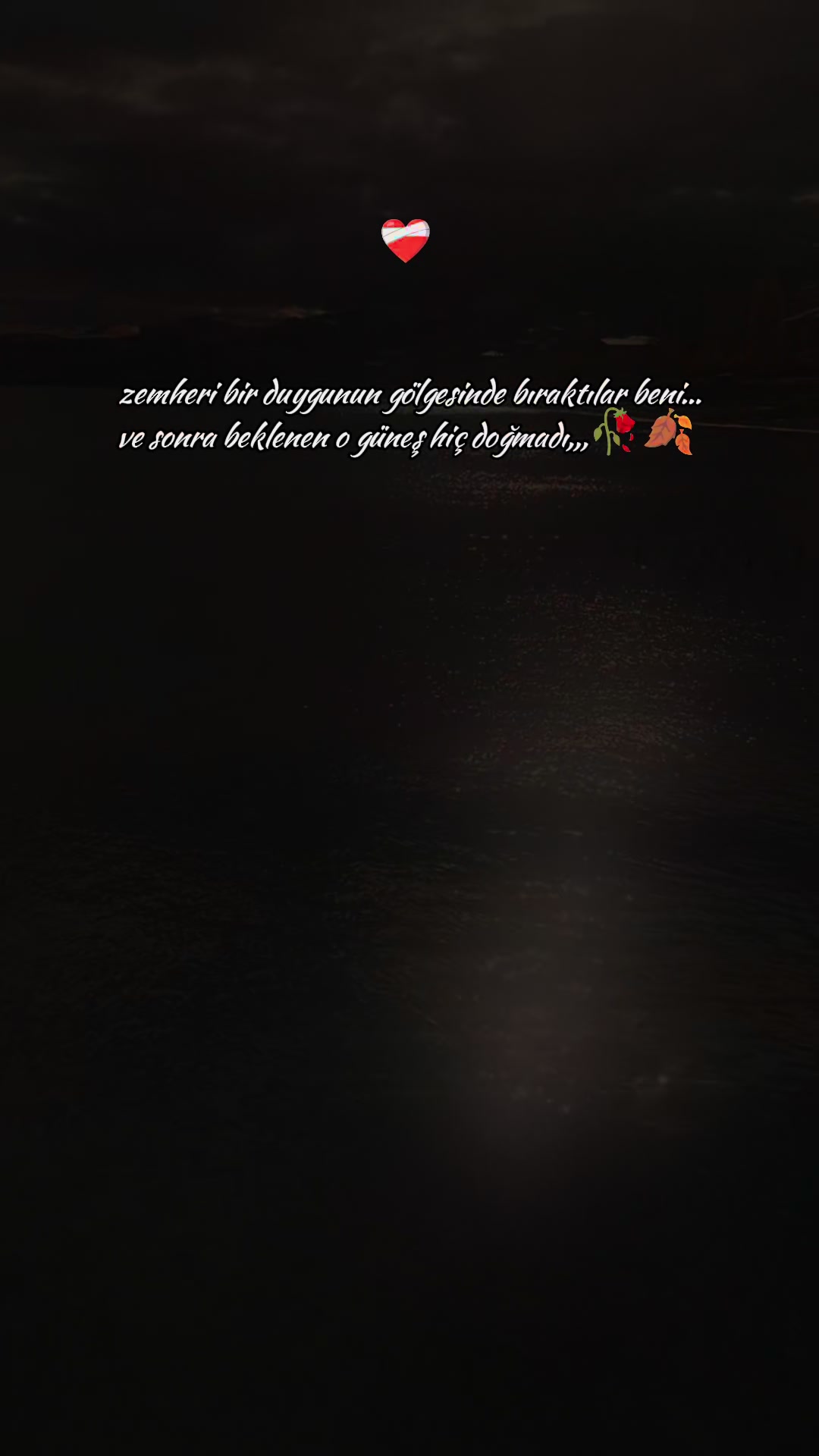 @Mehmet Can Arslan
