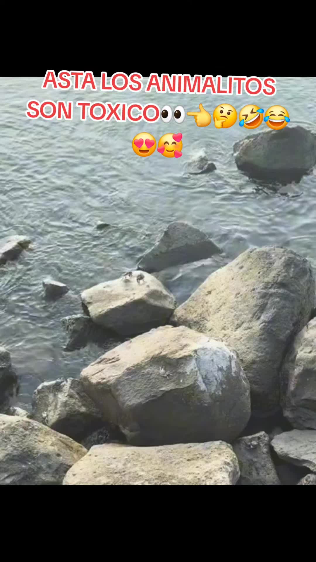 @🇸🇻roxanaroxana726🇸🇻