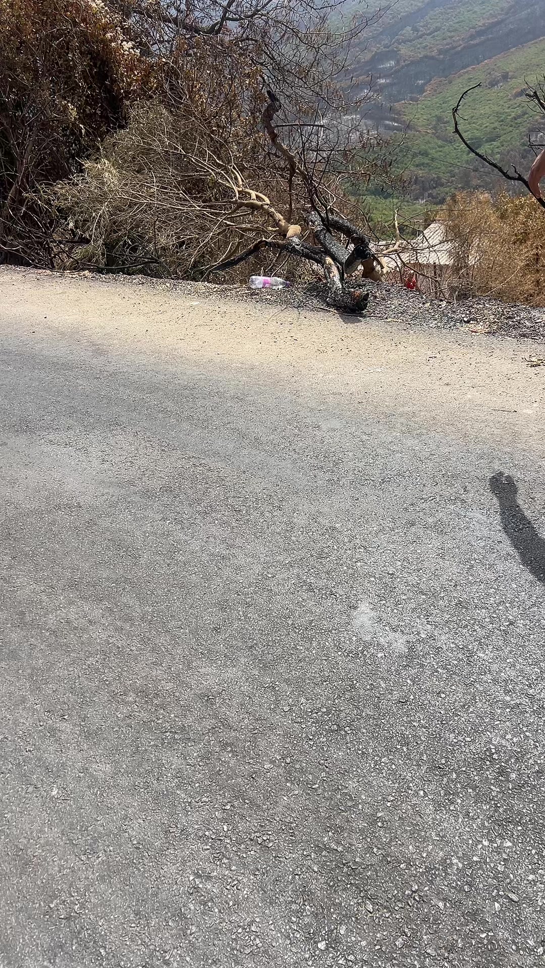@لعذاوري