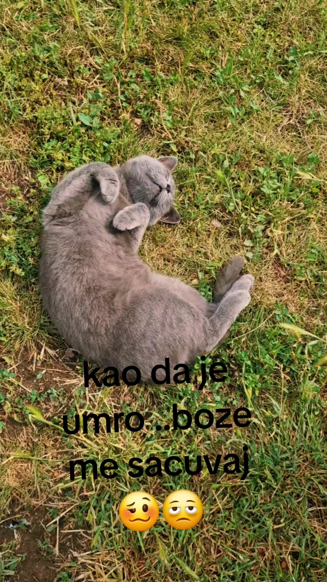 @Katarina Jovanovic