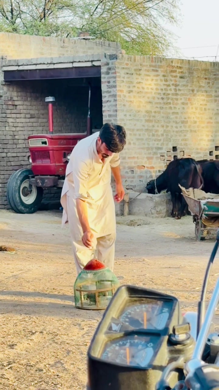 @مانی🖇🍁