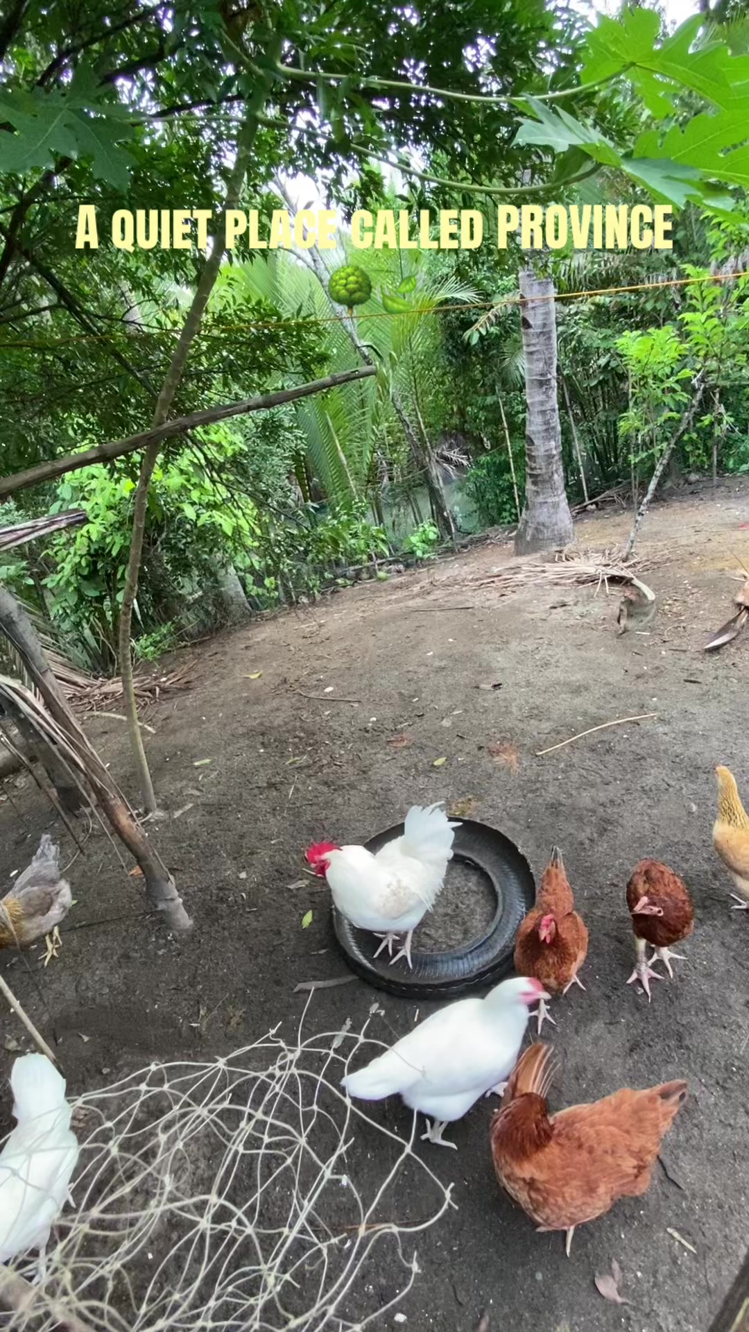@JolinaRose🌹