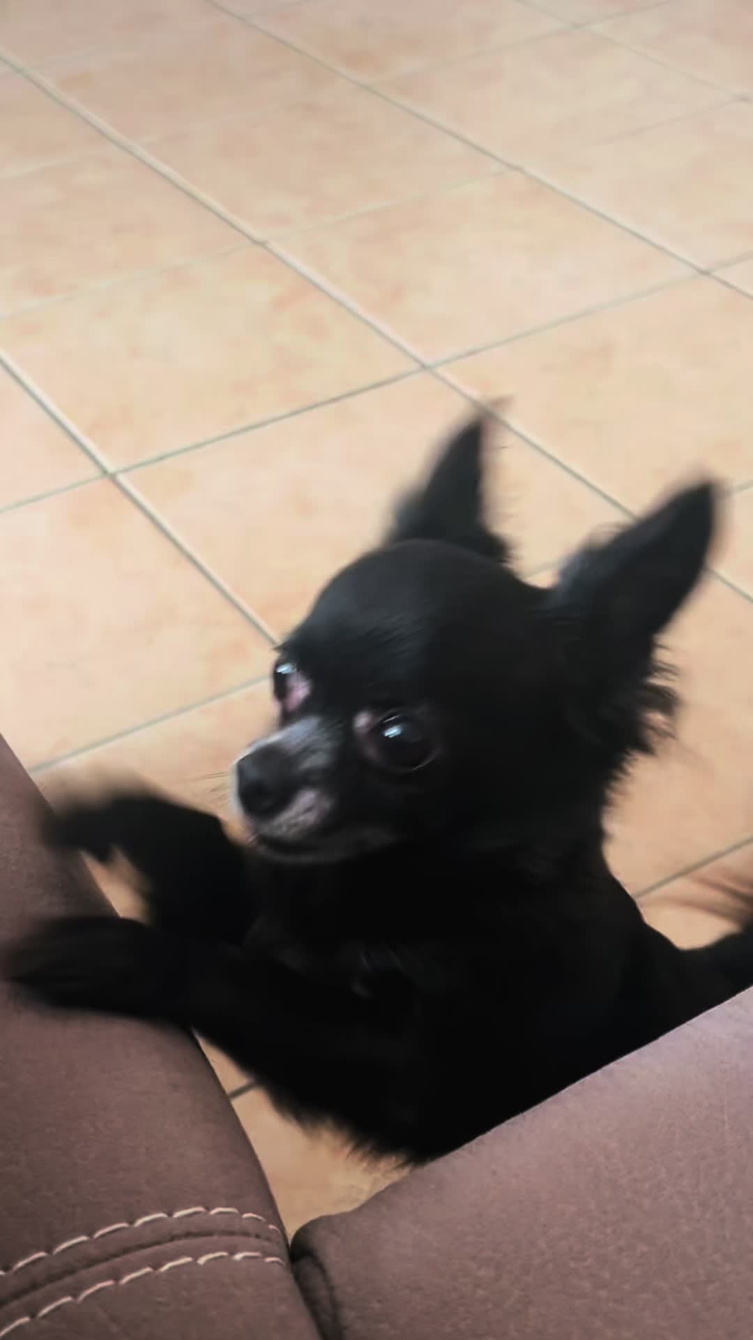 @Clara