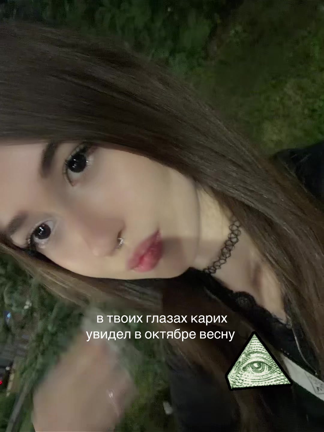 @ᥫ᭡.ִֶтгк амелька стефано