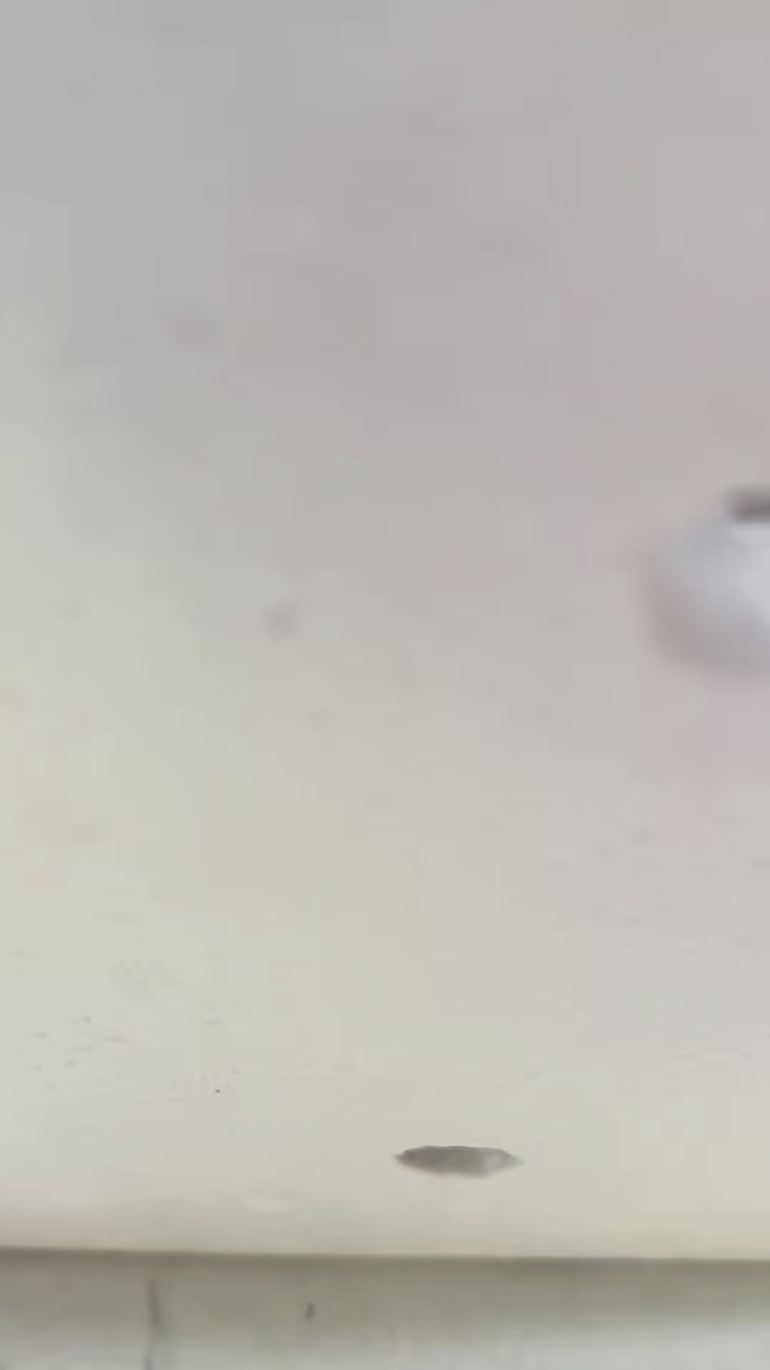 @Mai Điệp,tôm,cua,mực,cà mau.