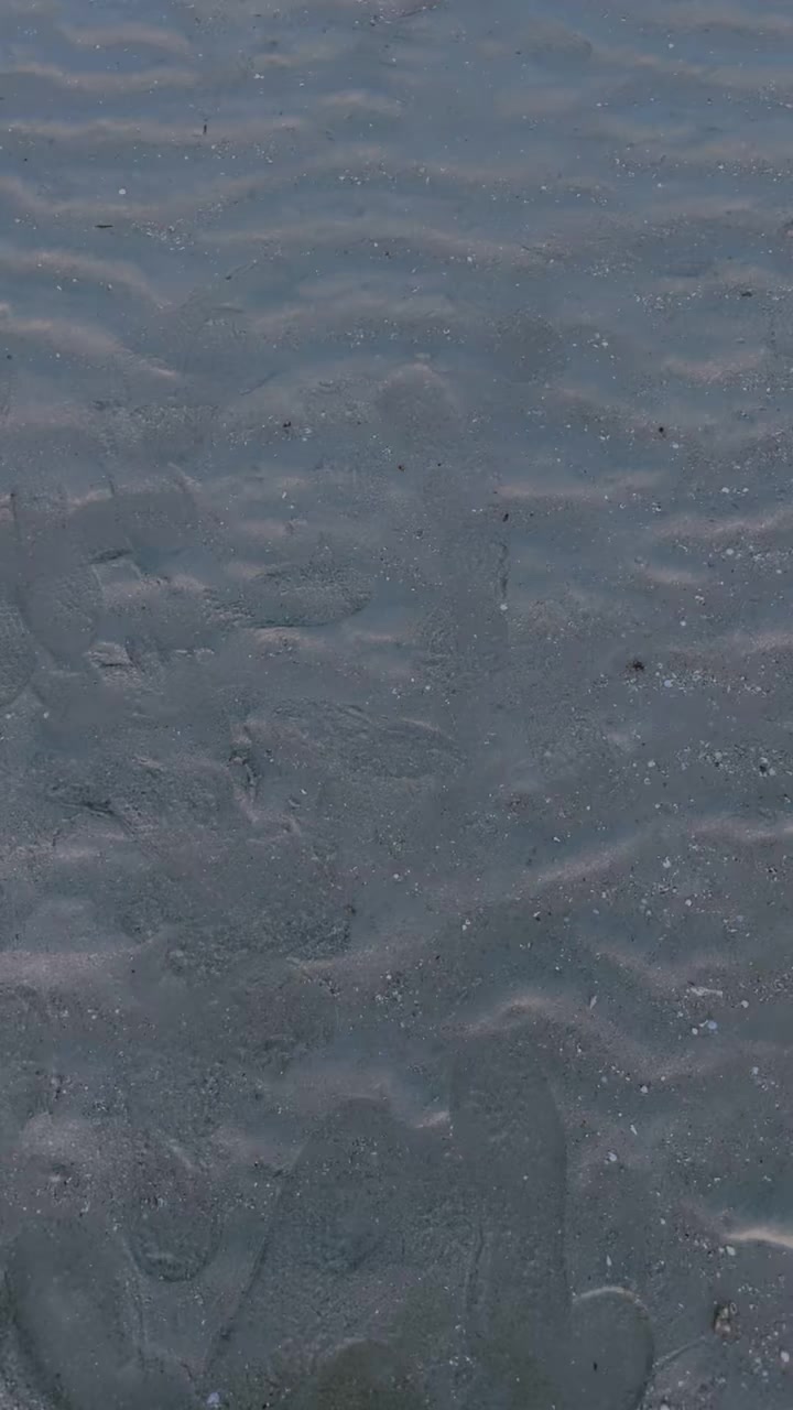 @❅جنجوعہ❅ 🇶🇦
