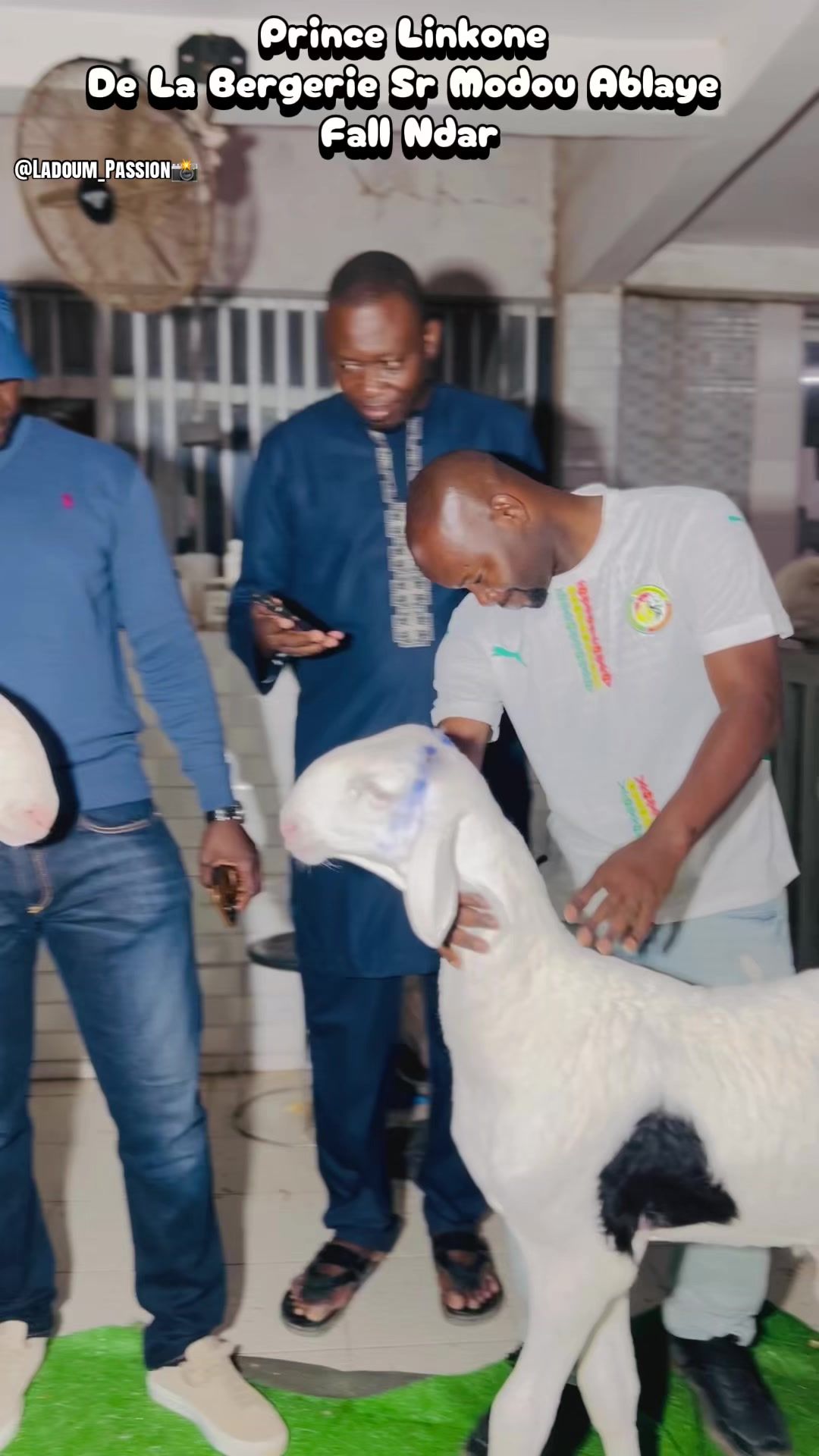 @LE SNAPEUR DES ÉLEVEURS📸🏅