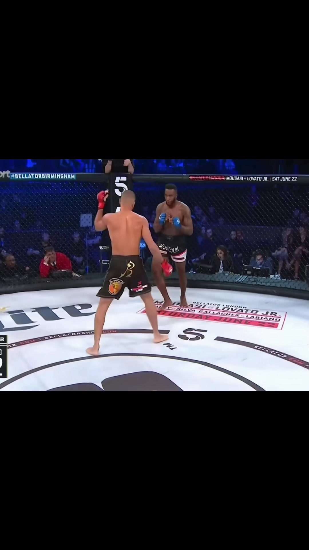 @Gold_UFC
