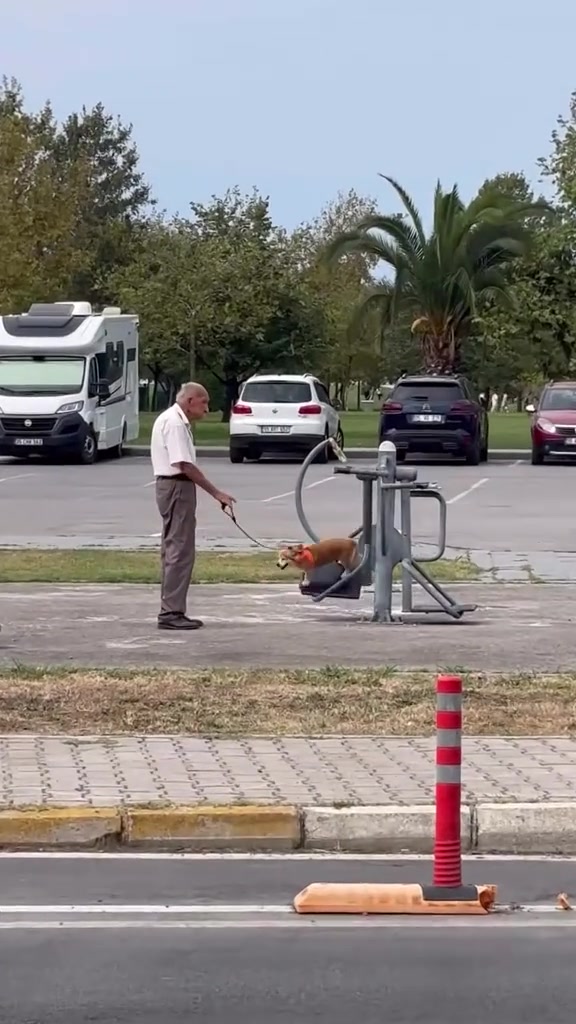 @Perdenin Ardındakiler