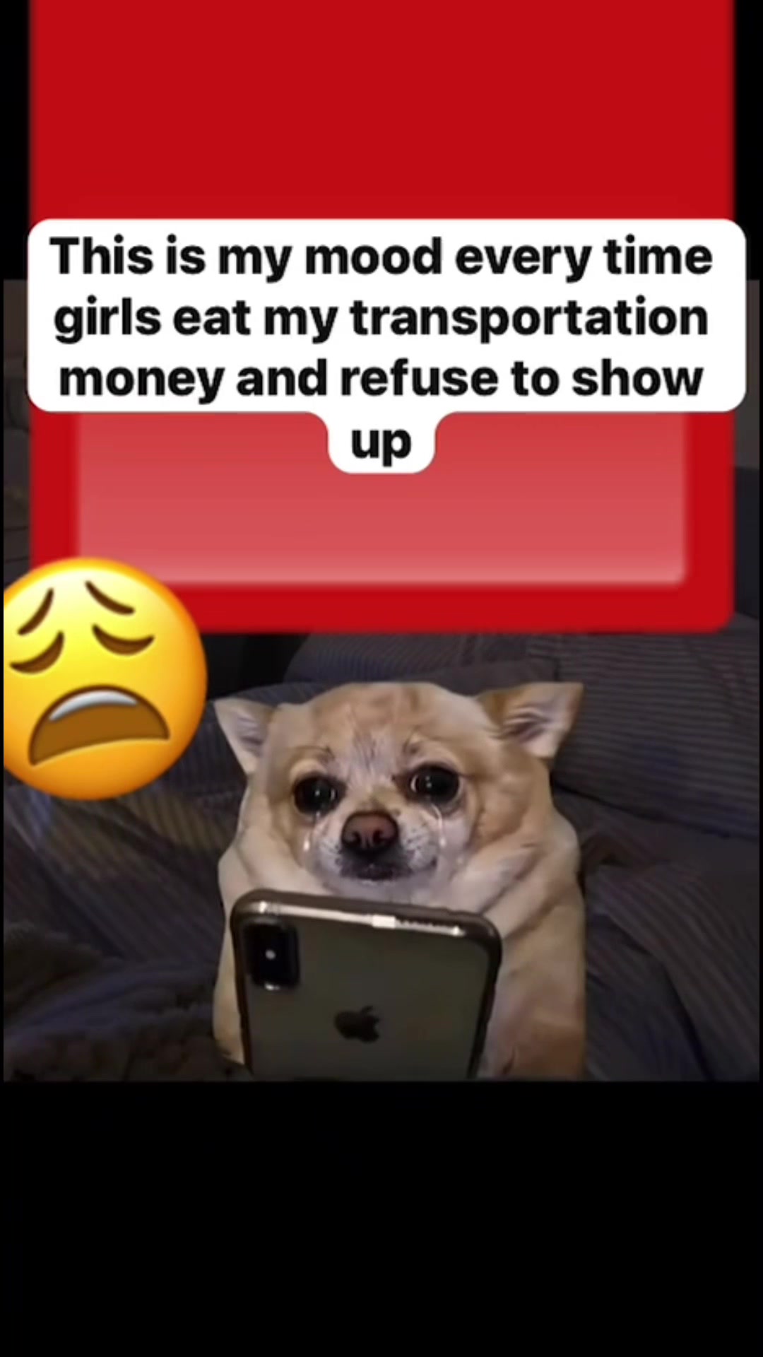 @chimuzymicheal777