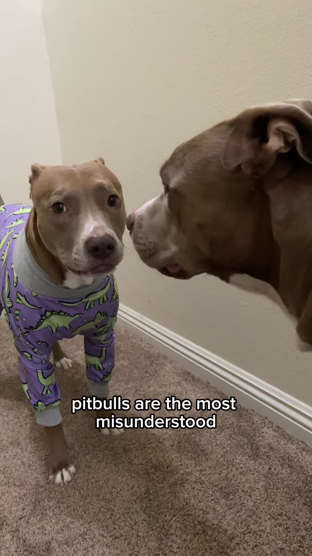 @@knight_thepit