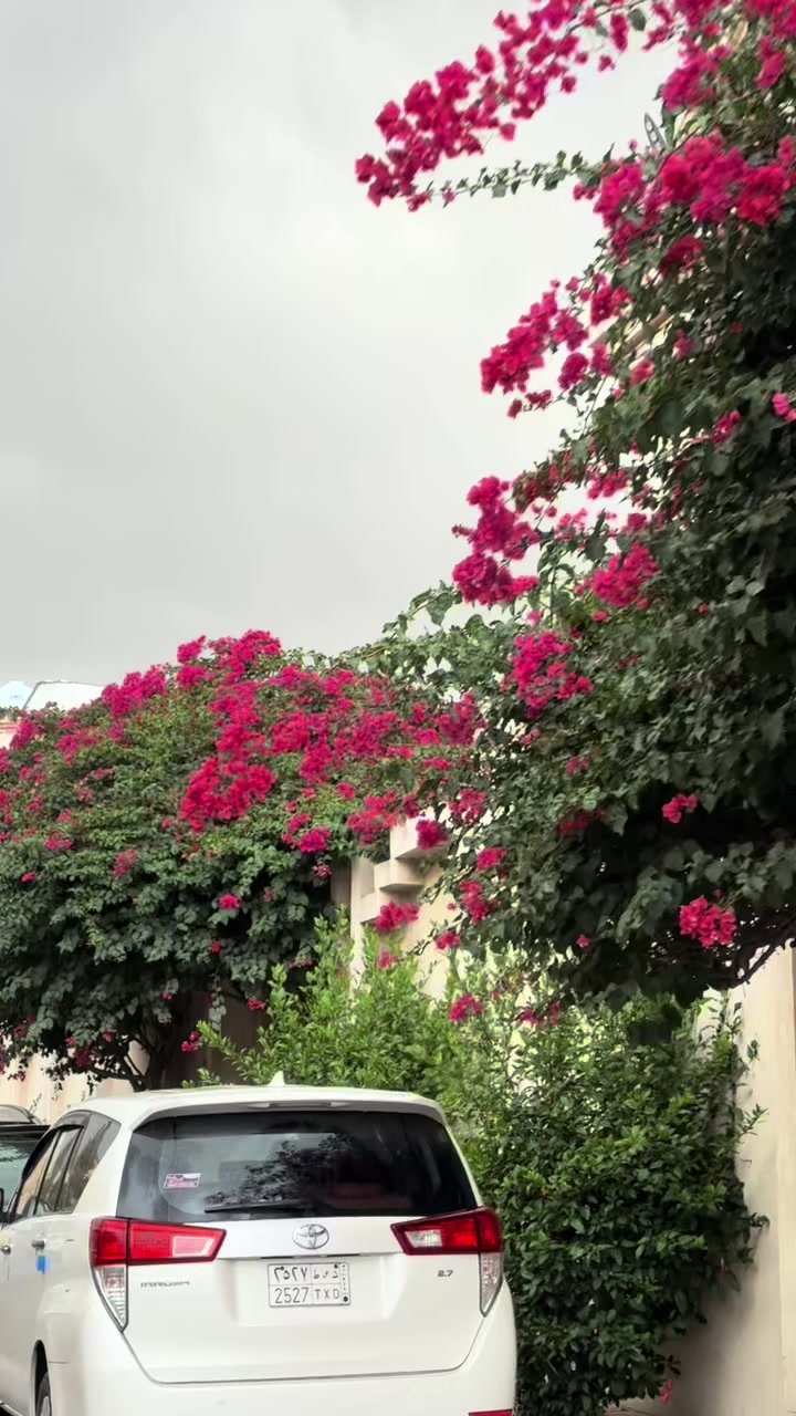 @ندى الشهراني|مرخصة اعلامياً 📸