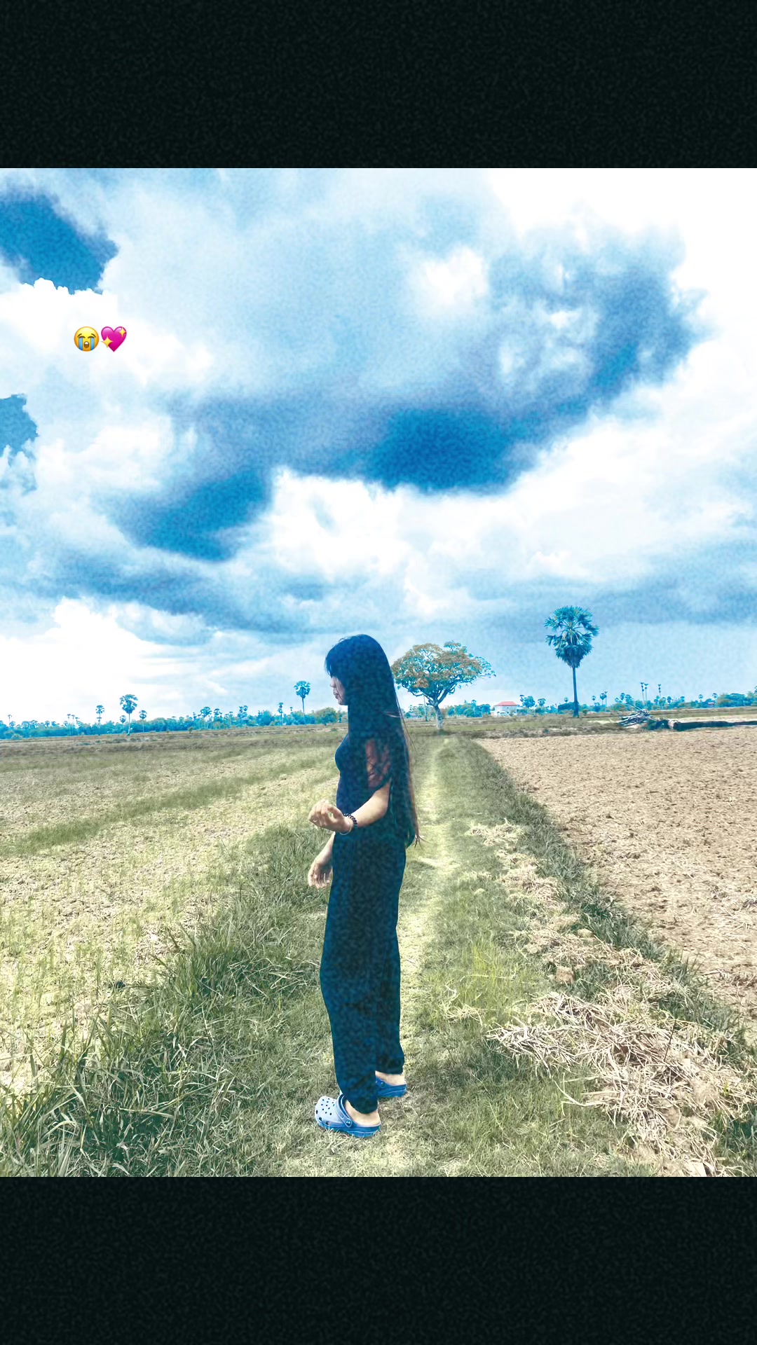 @Net-ណែត