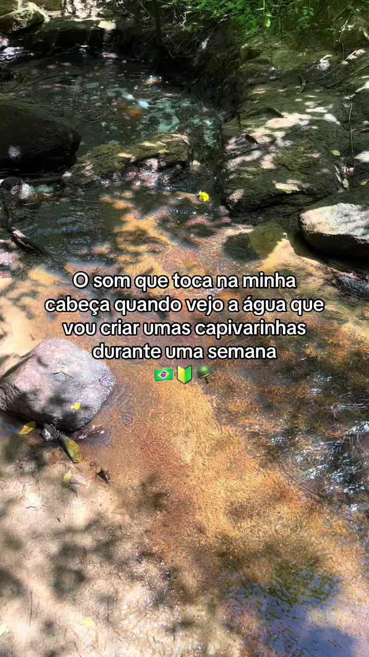 @Felipee_monteiroo