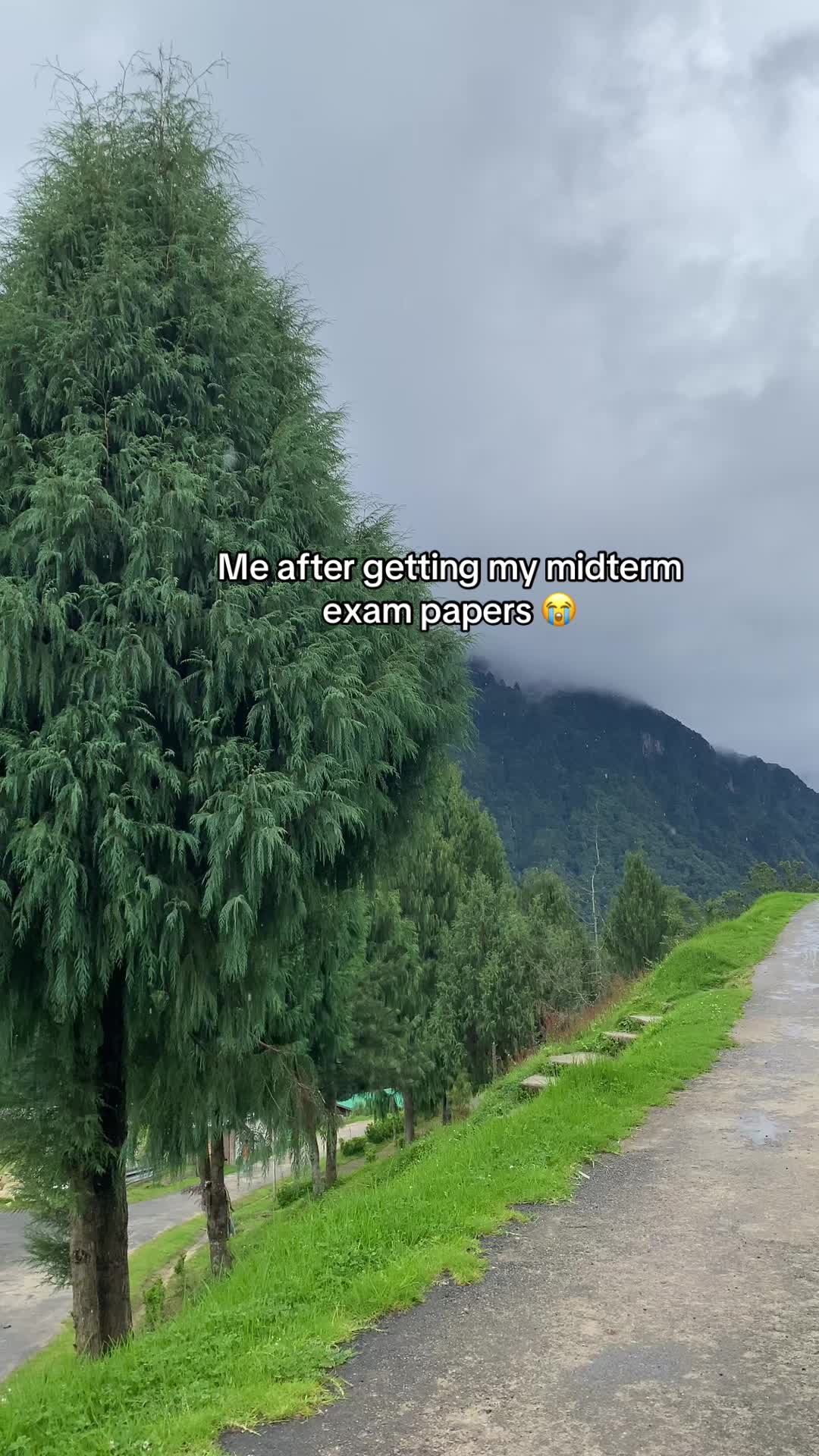 @healingbht