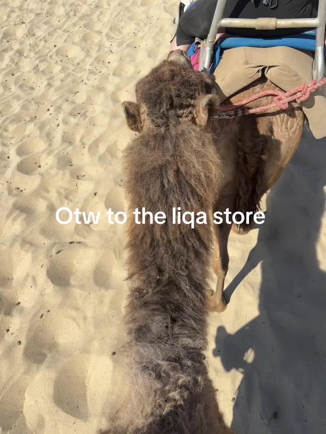 @;)