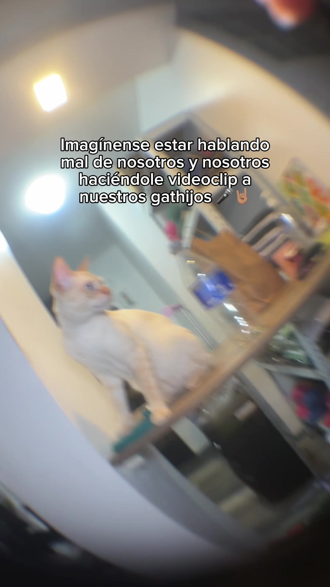 @Andrea Brissolese
