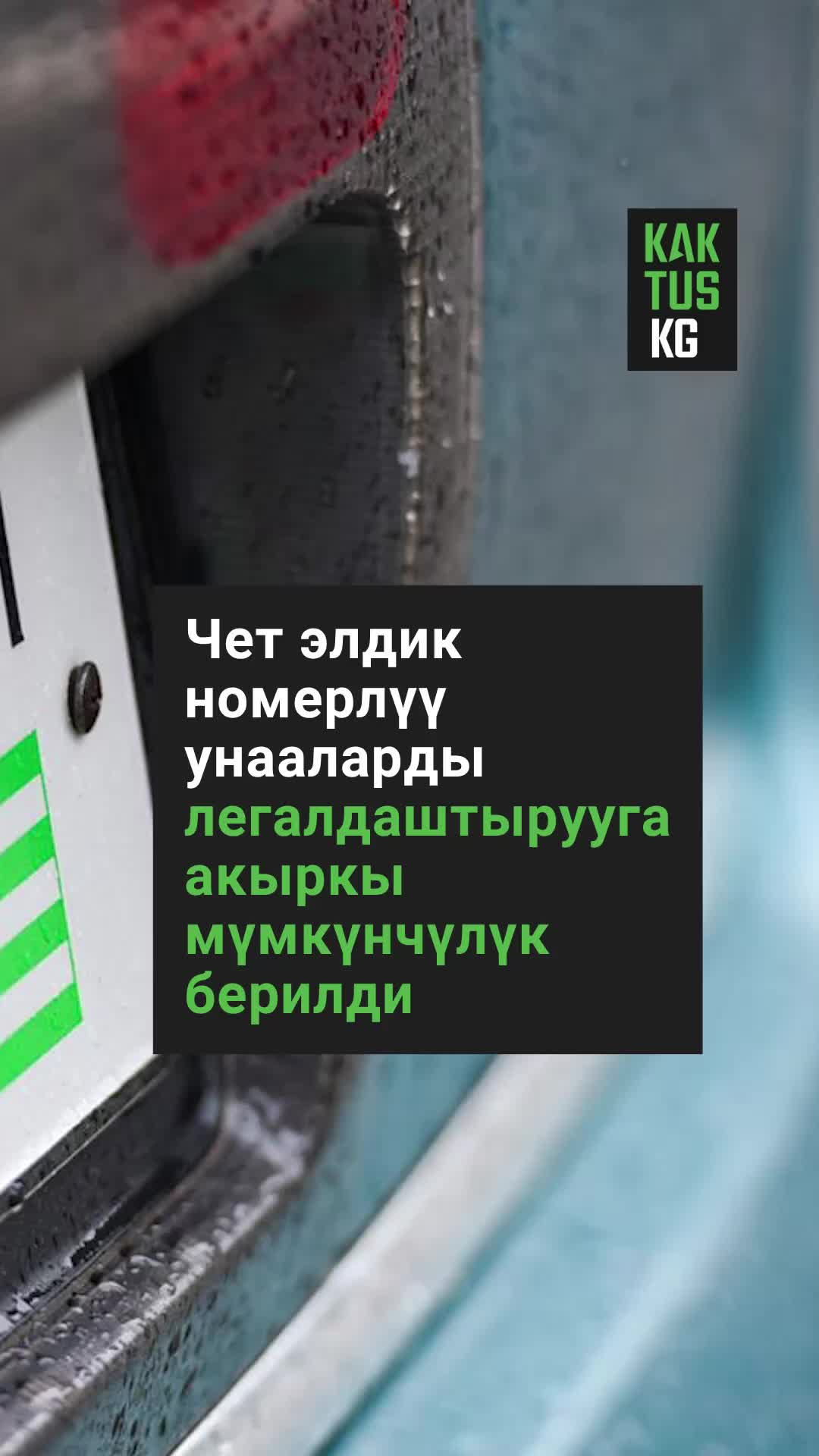 @Kaktus KG