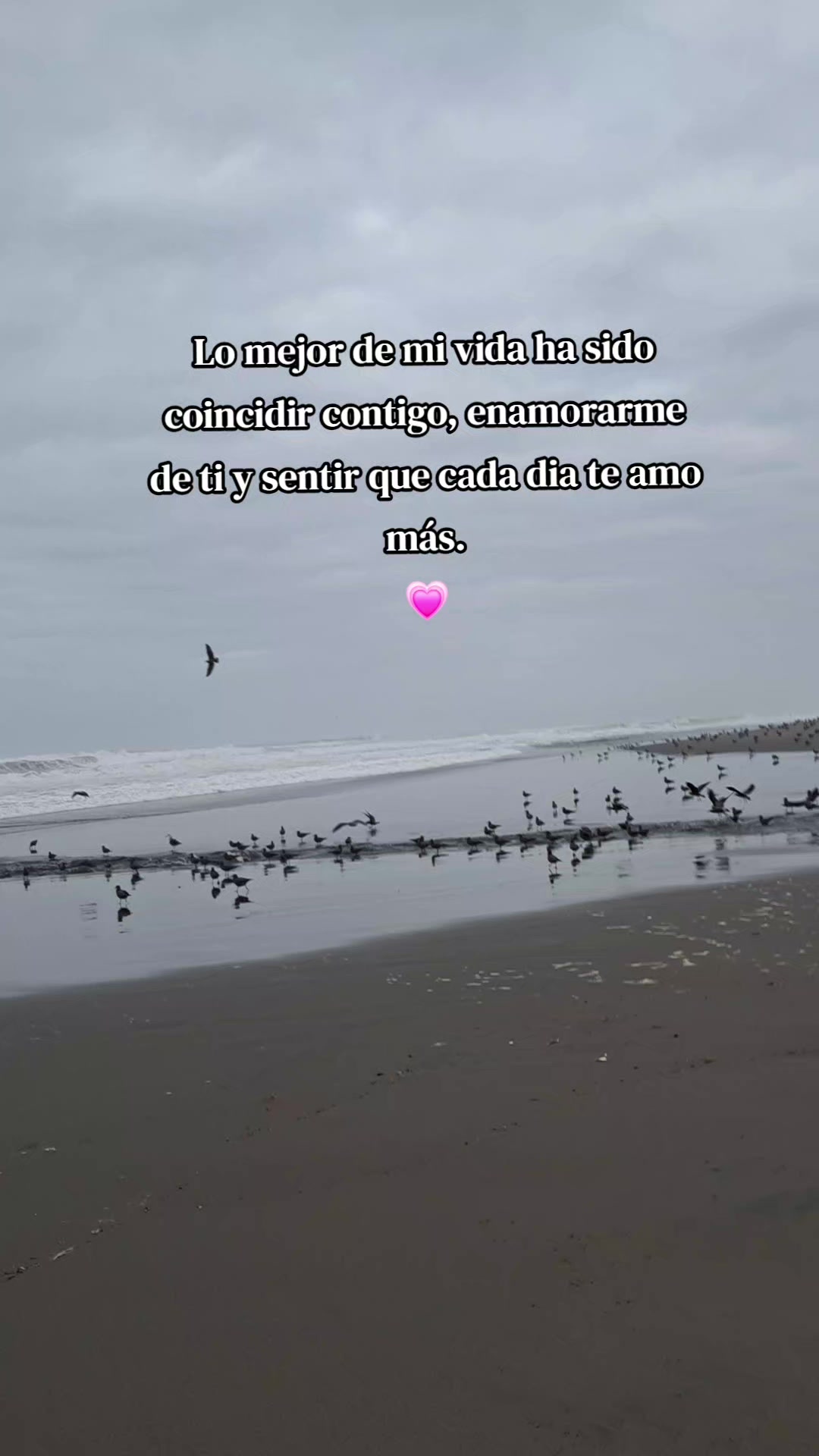 @🌻Bdina%🥰🌻