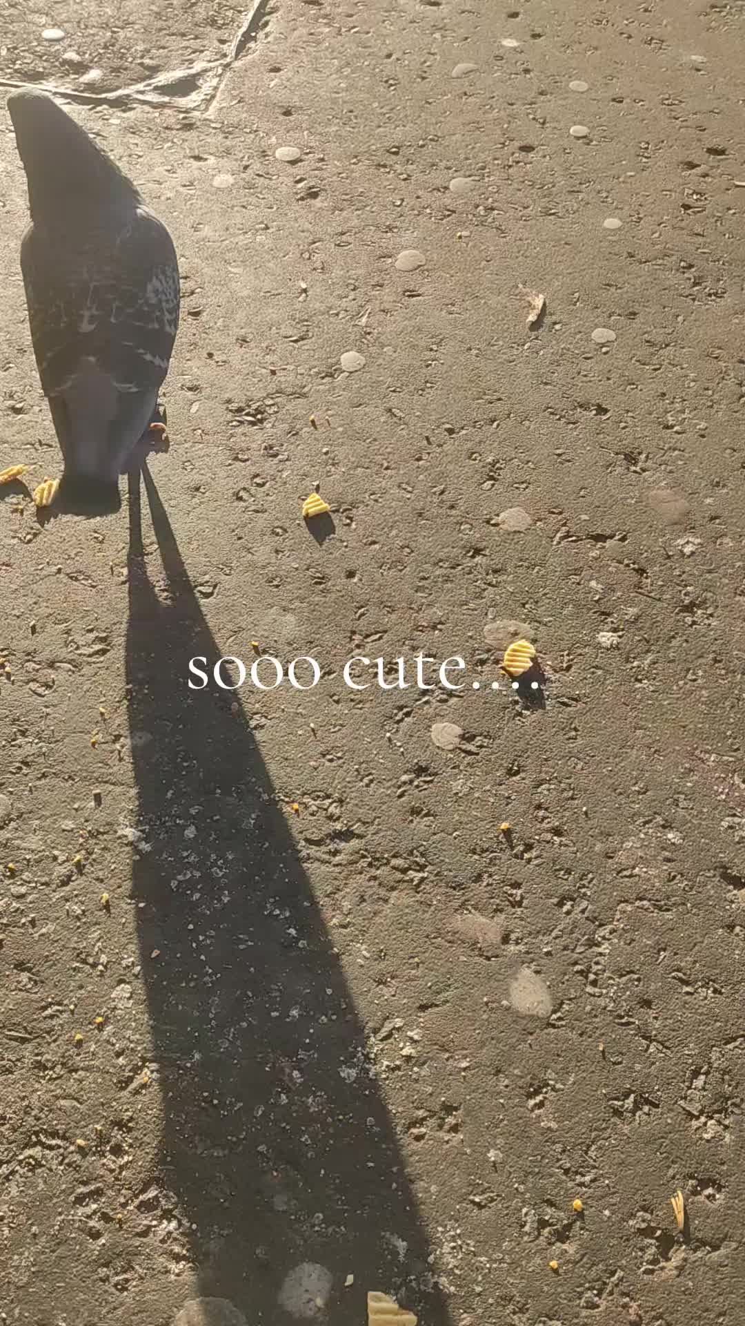 @jasleenkaur30_