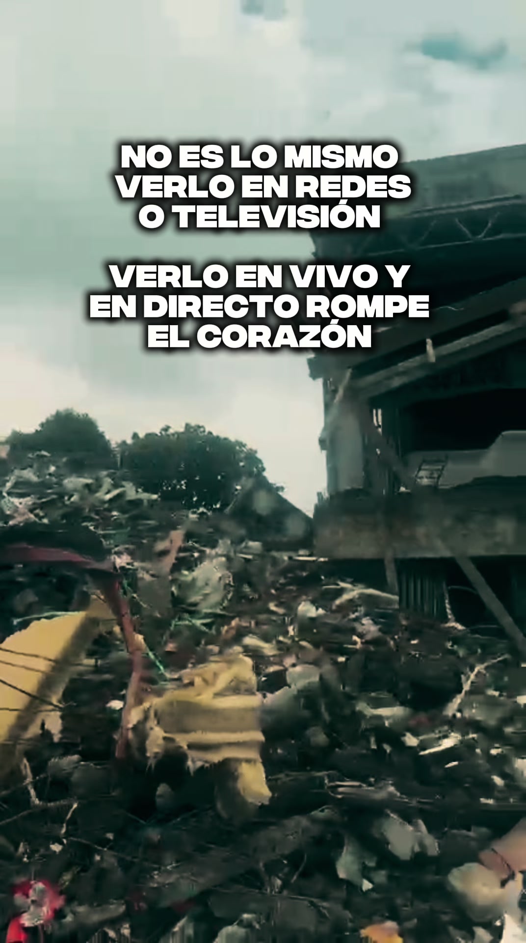 @Paola Andrea Guzman Zapata