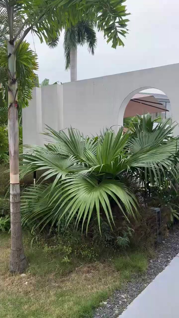 @Bénin Diaspora TV🇧🇯
