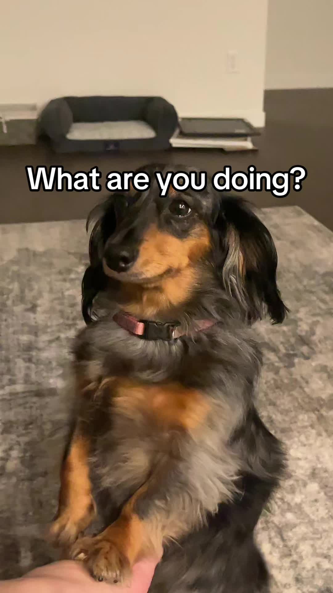 @snackdealer80