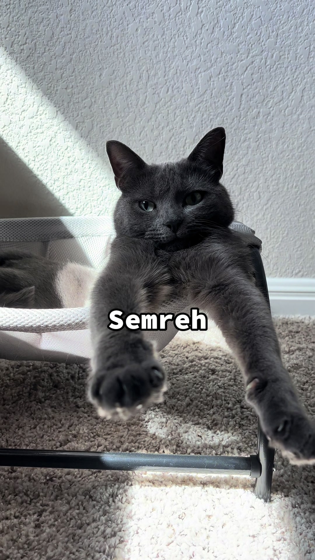 @Hermessonofzeus