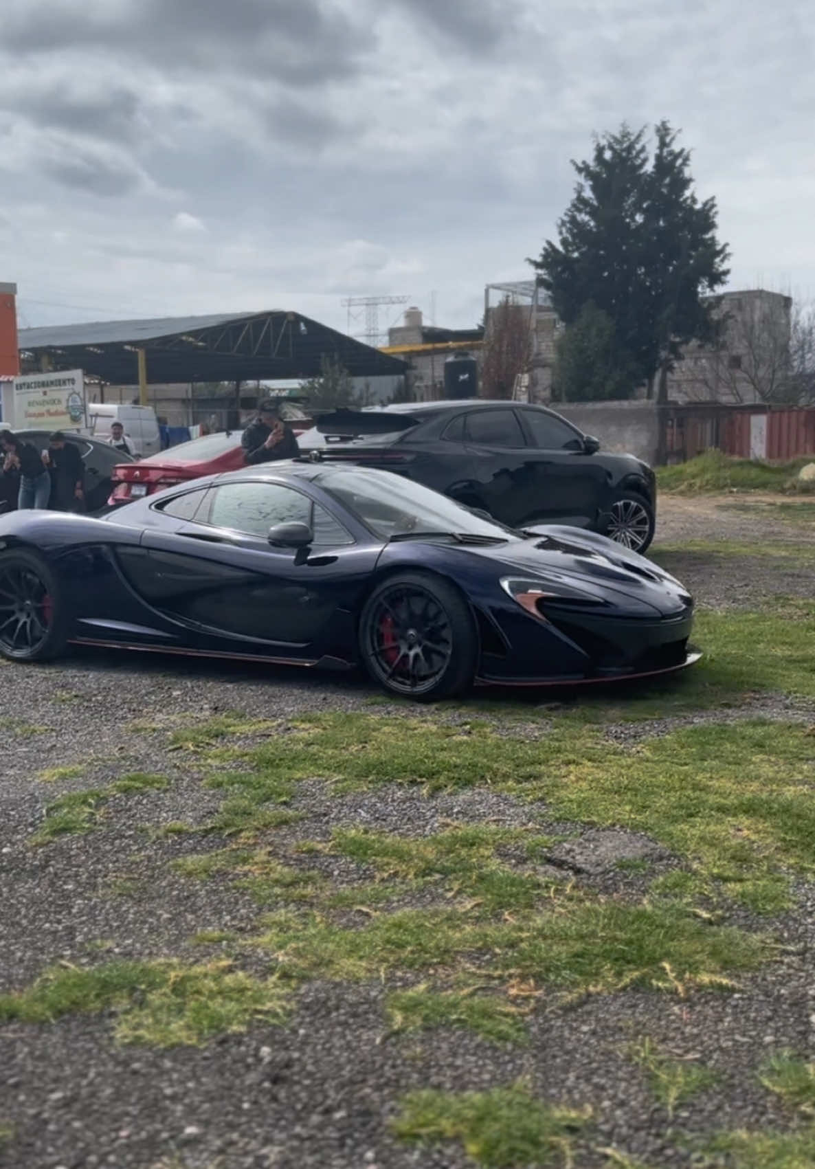 @Exotics.mx
