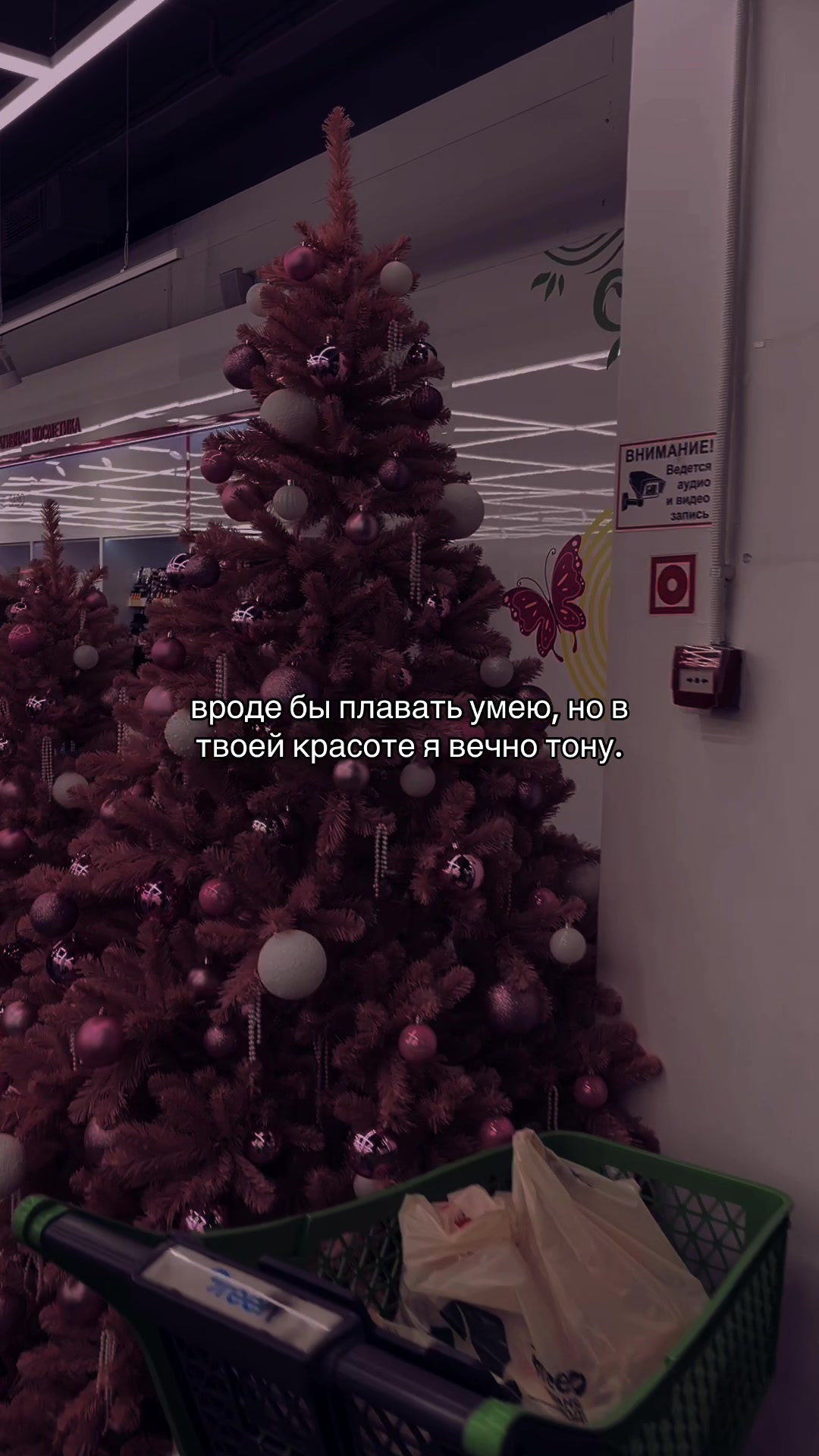 @♡ ⁿᵖᵒ`любовь♡