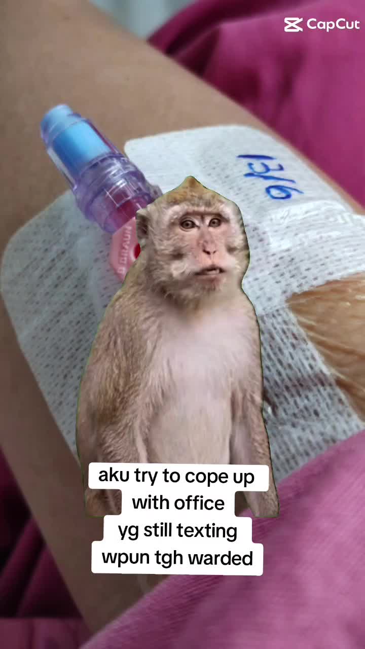@Nurel Aien