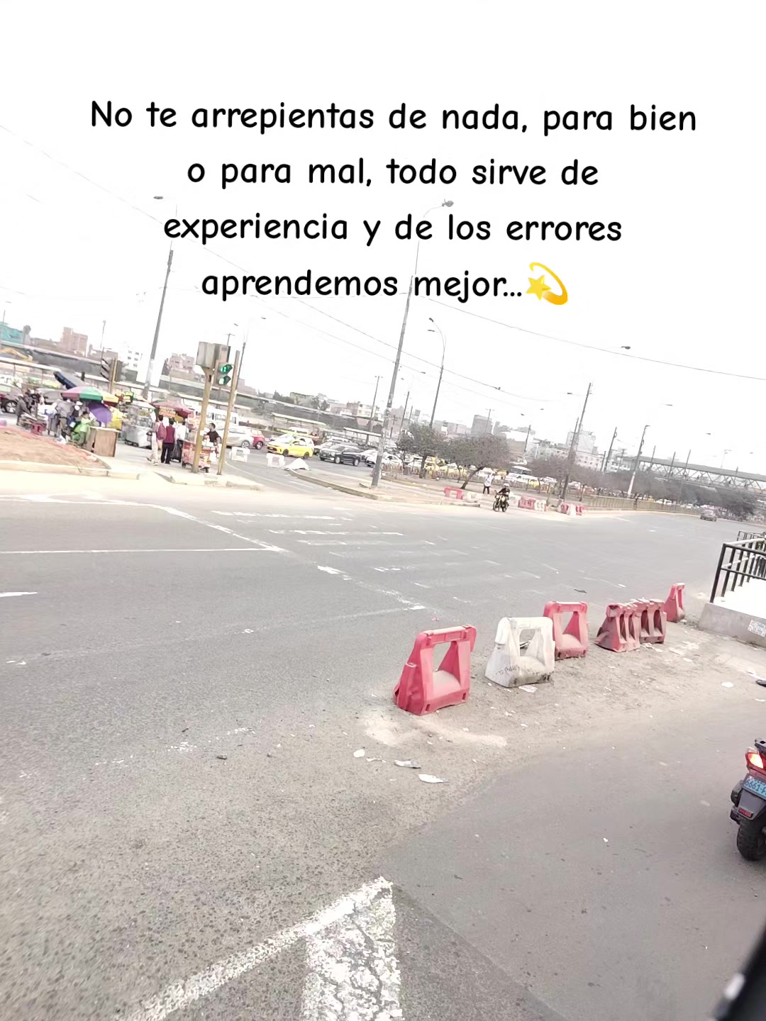 @🤍 🦋Erika🦋 🤍
