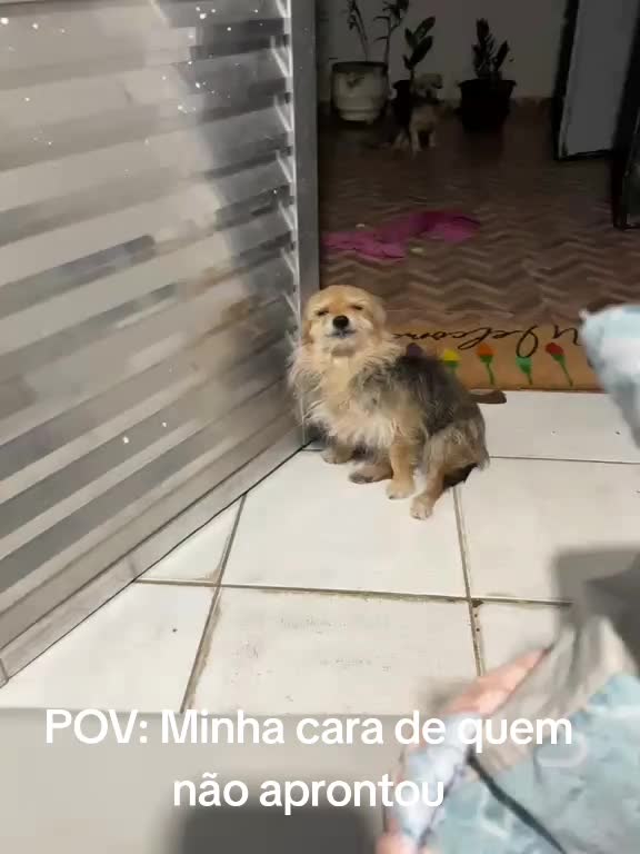 @drika