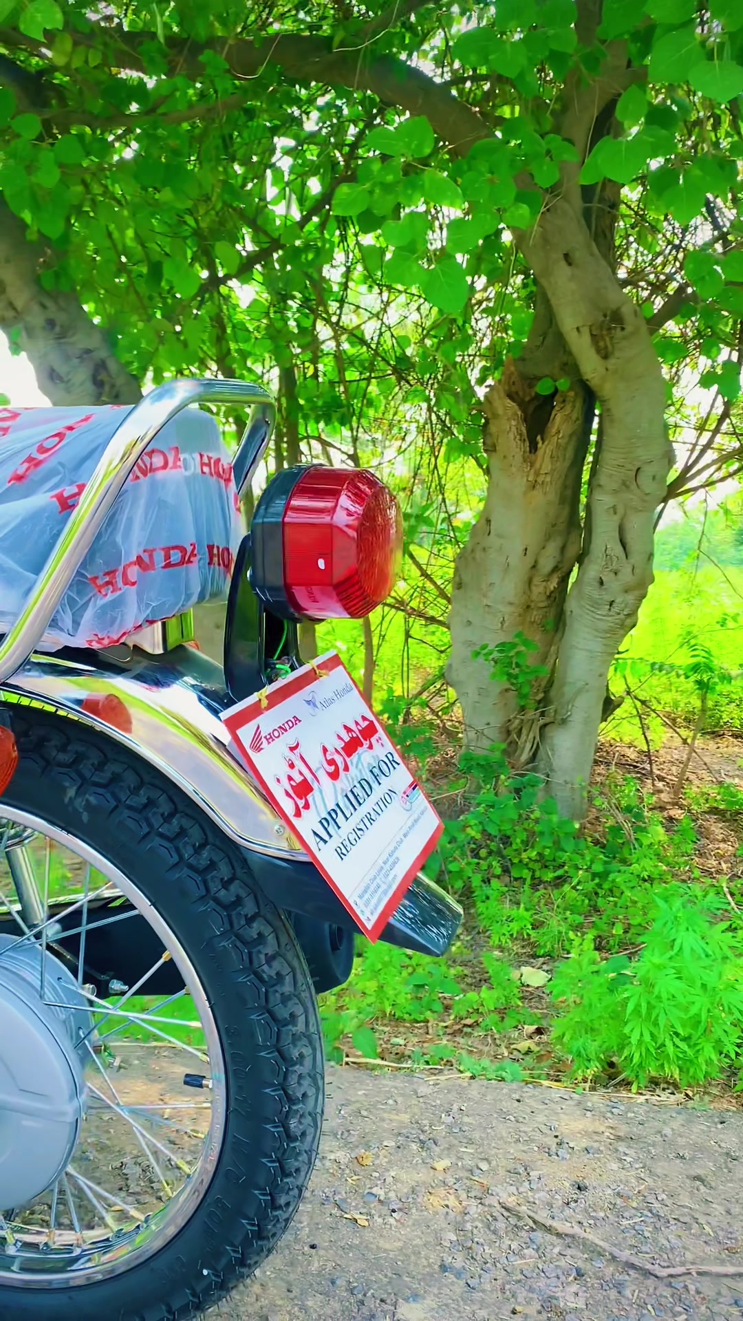 @Faنi Raجa⚡ 🇵🇰