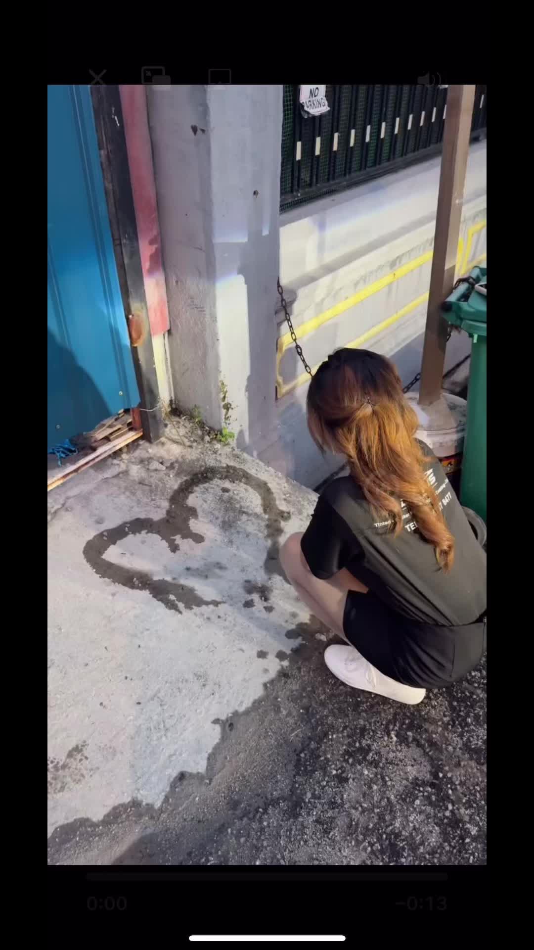 @陳皮