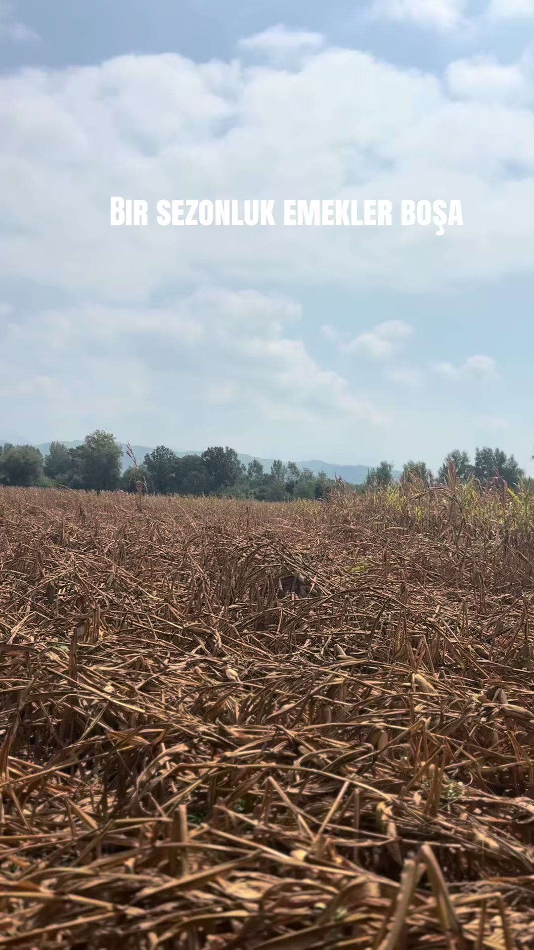 @Ali Osman ÇAL
