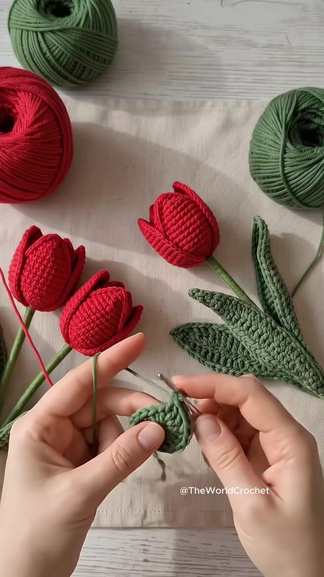 @The World Crochet