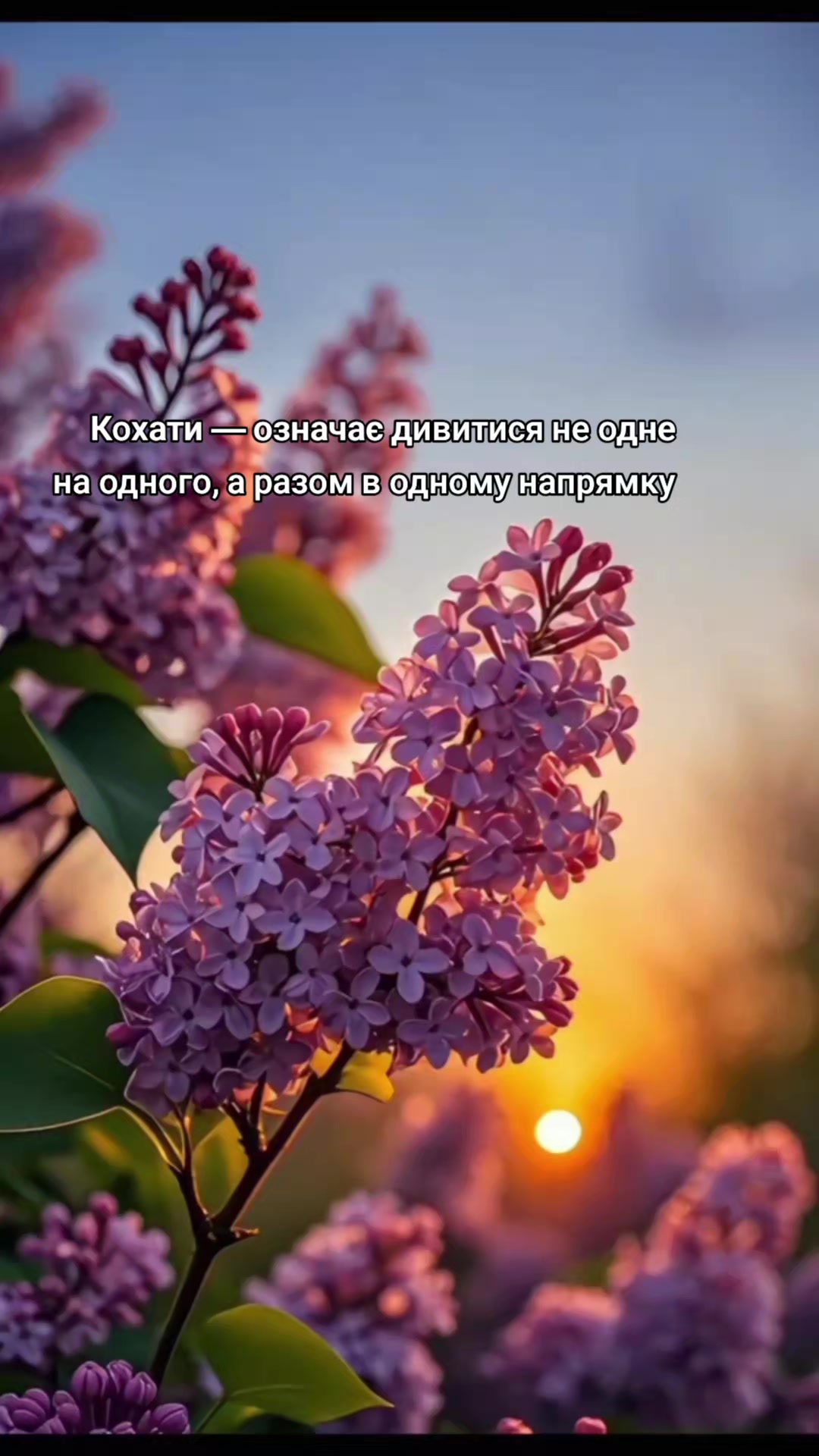 @🌷🌸Юлічка 🌷🌸