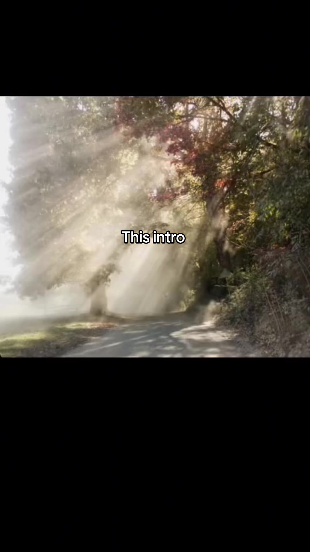 @🪽