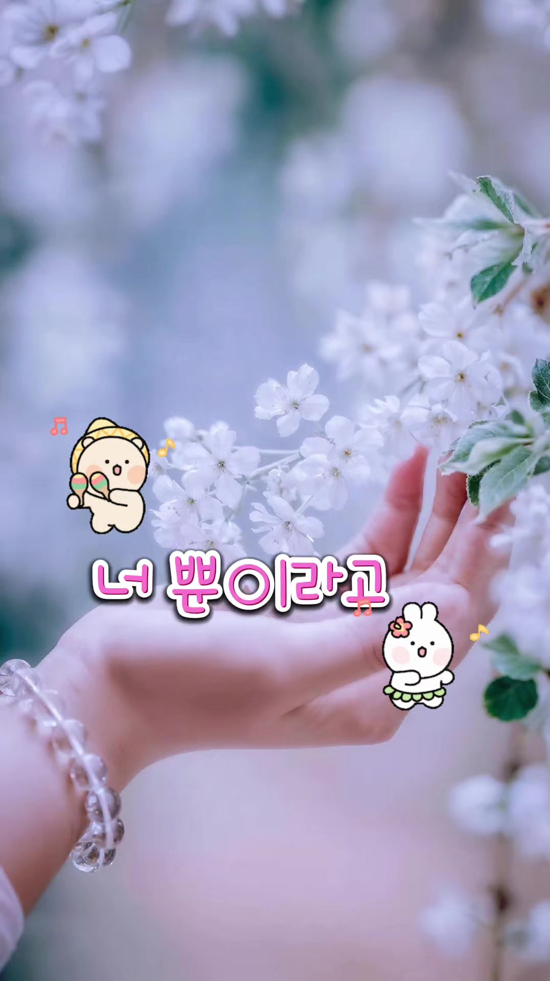 @°๐โ แญา °๐ดโข๋ ๐ดโข์ค แฑ~โ แญา